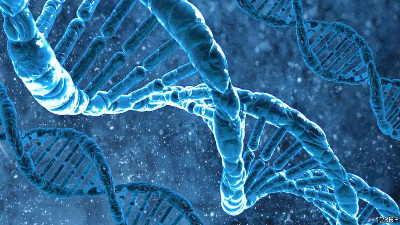 DNA