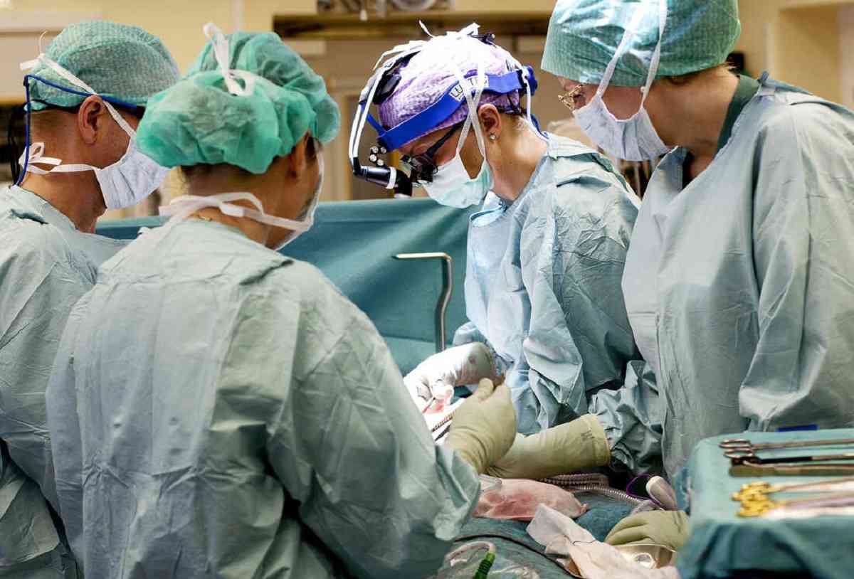 Νοσοκομείο Παπαγεωργίου Θεσσαλονίκης: Πρωτοχρονιάτικο δώρο ζωής σε τρεις ασθενείς – Αναμένονται δύο ακόμη μεταμοσχεύσεις κερατοειδών