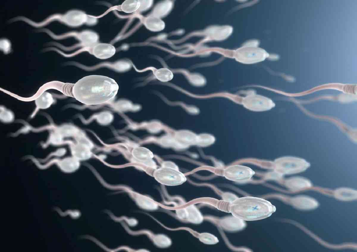 Γονιμότητα: Οι συχνές εκσπερματώσεις μπορούν να δυναμώνουν το σπέρμα