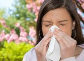 Πρόωρη έναρξη για τις αλλεργίες της άνοιξης