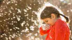 Ισχυροί άνεμοι και σχολεία πυροδοτούν τις φθινοπωρινές αλλεργίες