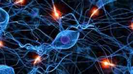 Ολοκληρώθηκε η εξαγορά των μετοχών της Stem–Health SA του Ομίλου ΥΓΕΙΑ από την CFYF
