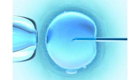 Εξωσωματική Γονιμοποίηση – Το μέλλον είναι εδώ!