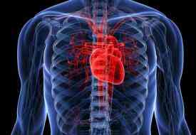 Οι μεσήλικες με χαμηλό κίνδυνο καρδιακών νόσων είναι πιο αυτόνομοι όταν γεράσουν