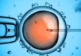 Η τεχνητή γονιμοποίηση ευθύνεται για γενετικές ανωμαλίες των εμβρύων