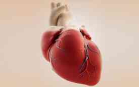 “Η συνέπεια στον έλεγχο της χοληστερόλης, κρατά την καρδιά υγιή”, άρθρο του ΧρήστουΣταθόπουλου, Καρδιολόγου, Διδ. Πανεπιστημίου Πάτρας