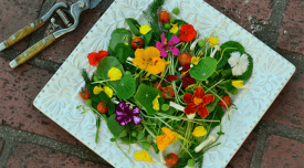 Γιατί να προσθέσετε λουλούδια στη σαλάτα σας;