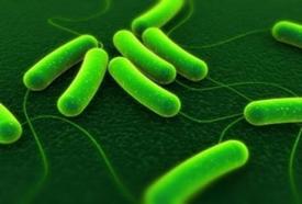 Πάνω από το όριο ασφαλείας οι λοιμώξεις πολυανθεκτικών μικροβίων στο “Μεταξά”. Τι καταγγέλλει στο Healthview o Αντιπρόεδρος της ΠΑ.Σ.Ο.ΝΟ.Π.