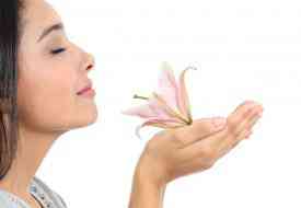 Οι πέντε μυρωδιές που μας κάνουν πιο παραγωγικούς