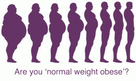 Μπορεί κάποιος με φυσιολογικό βάρος να είναι παχύσαρκος;