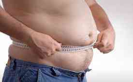 Το παχύσαρκο…ανθρώπινο γένος