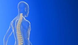 Σταθεροποιητές σπονδυλικής στήλης για τη μείωση του πόνου στη μέση