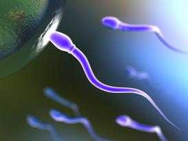 Ανδρική υπογονιμότητα και προβλήματα του σπέρματος