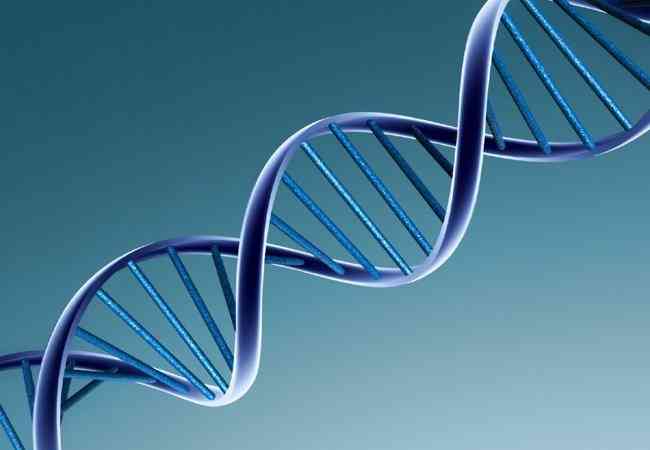 Επιστήμονες εντόπισαν χιλιάδες γονίδια που… προτιμούν τους άντρες ή τις γυναίκες