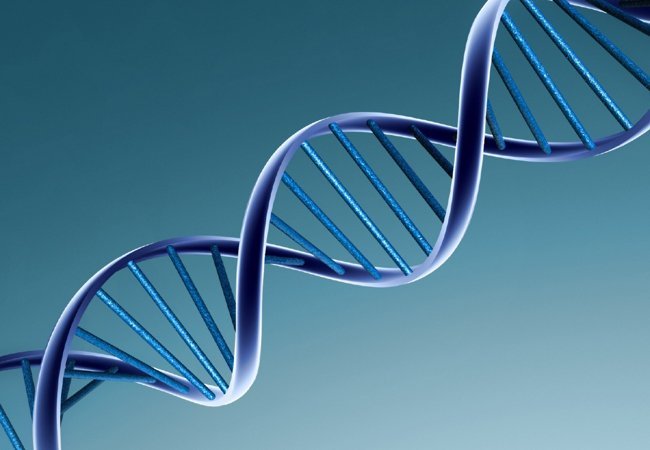 Γονιδιακές μεταλλάξεις: Είναι πιο συχνές απ’ όσο νομίζαμε
