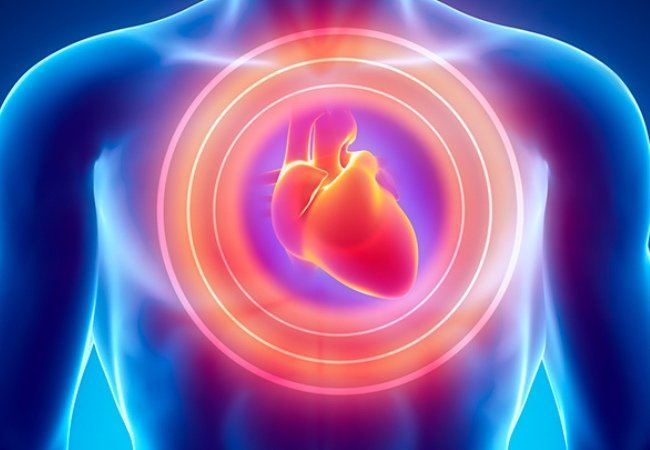 Καρδιά: Τα τηγανητά αυξάνουν τον κίνδυνο εμφάνισης στεφανιαίας νόσου
