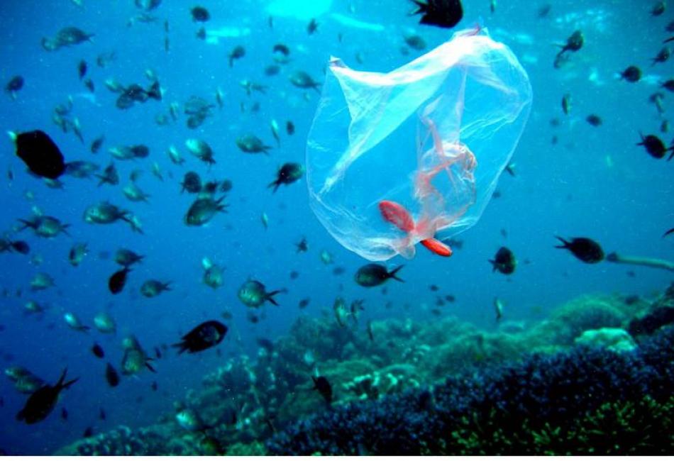 WWF: Σήμα κινδύνου για τη Μεσόγειο από τη συσσώρευση πλαστικών σκουπιδιών
