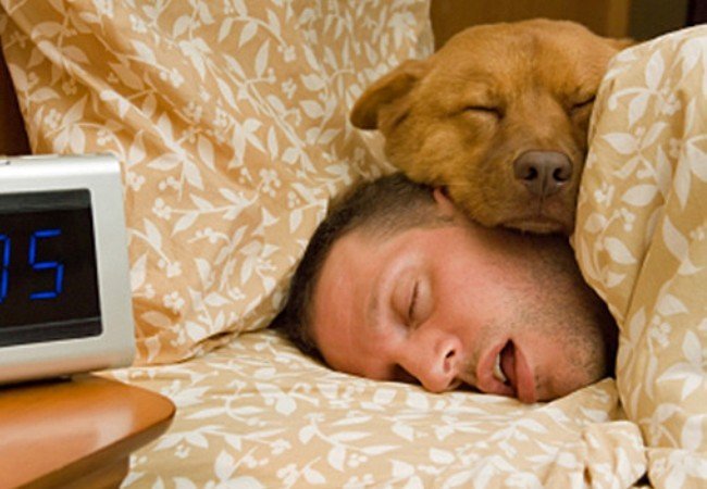 Ύπνος: Όσοι κοιμούνται με τον σκύλο τους έχουν καλύτερη υγεία