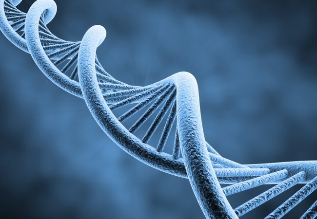 Μεταλλάξεις σε έντεκα γονίδια, που σχετίζονται με τον επιθετικό καρκίνο του προστάτη, εντοπίστηκαν σε νέα έρευνα