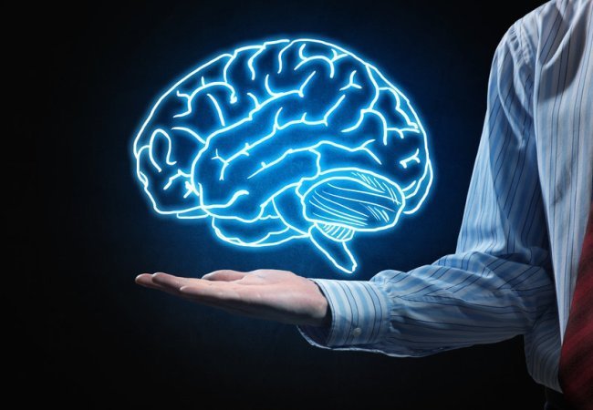 Εγκέφαλος: Παράγει νέους νευρώνες ακόμα και στην τρίτη ηλικία
