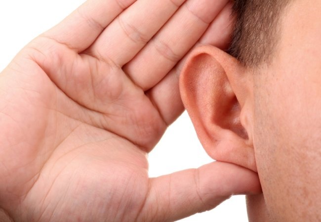 Ακοή: Βρέθηκε η πρωτεΐνη που μας επιτρέπει να ακούμε