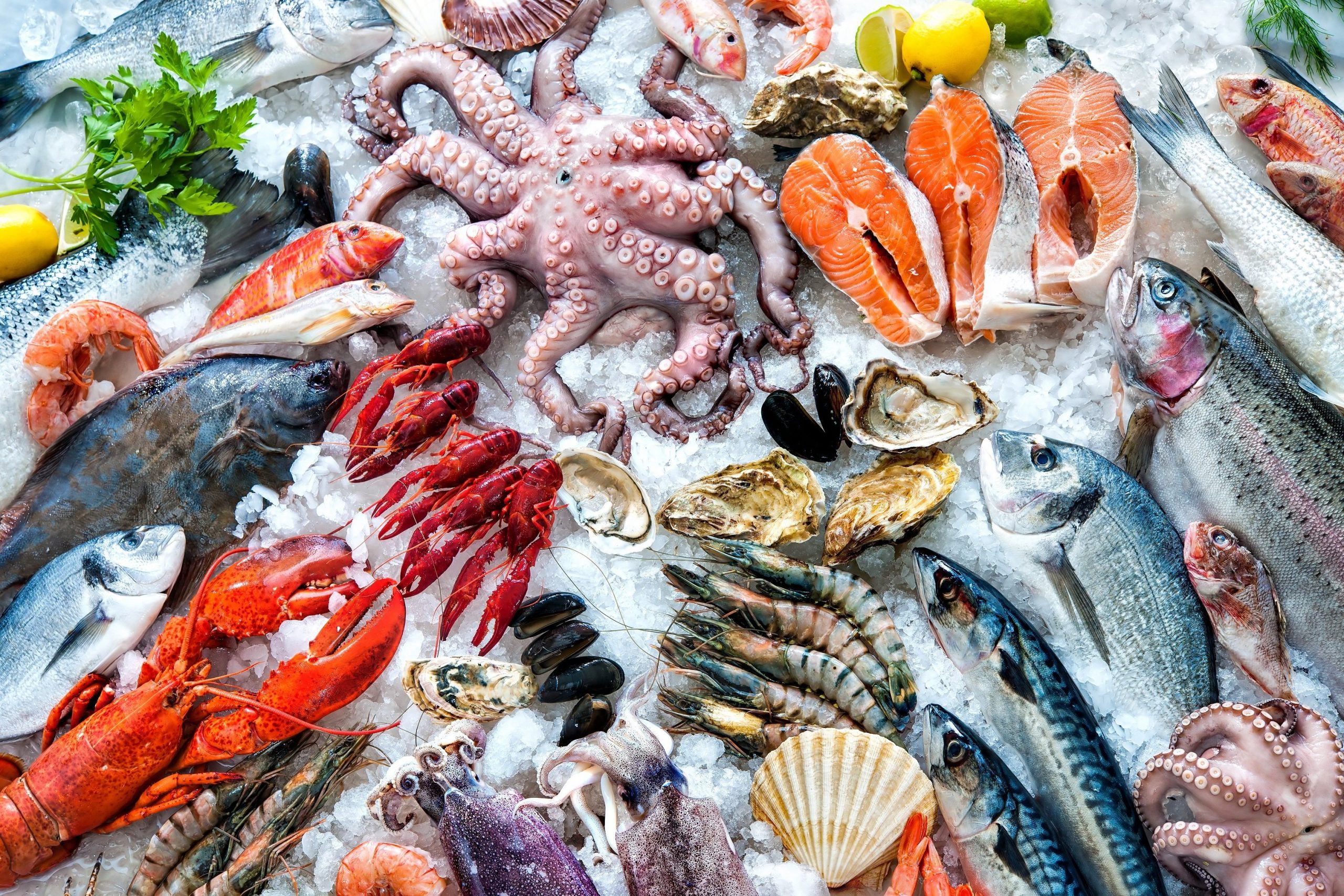 Κατεψυγμένα ψάρια: Έχουν την ίδια διατροφική αξία με τα φρέσκα;
