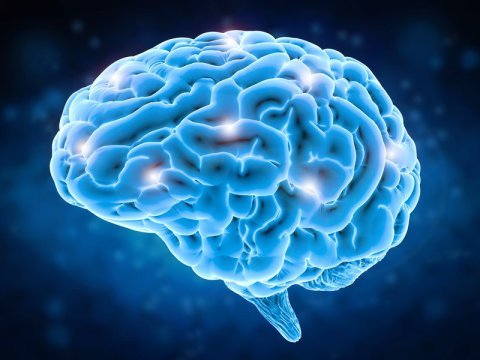 Εγκέφαλος: Αυτά είναι τα εγκεφαλικά κύταρρα που μας κάνουν πιο θαρραλέους