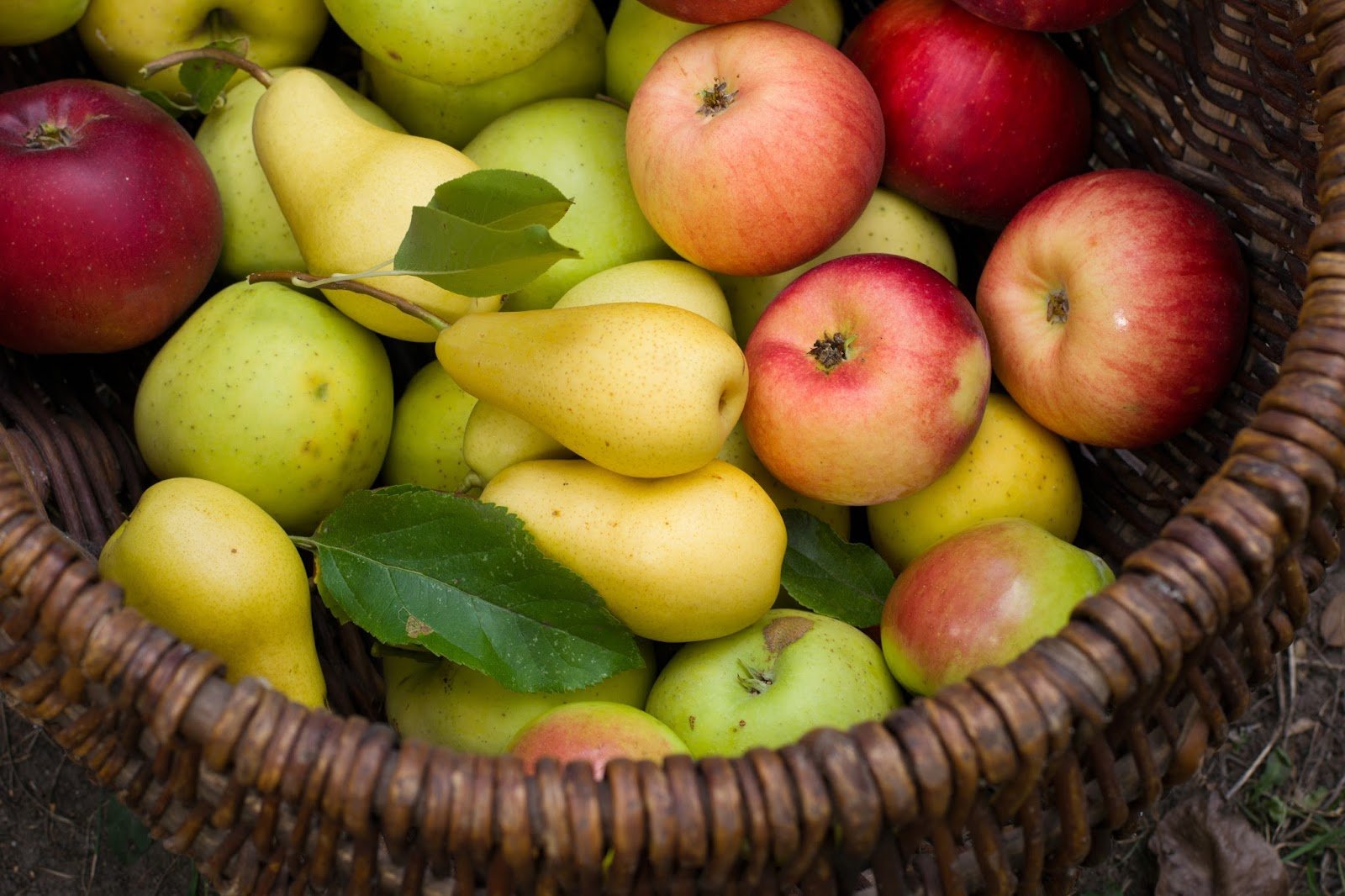 Αχλάδι ή μήλο: Ποιο φρούτο βγαίνει «νικητής»; - HEALTHVIEW