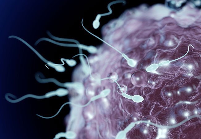 Γονιμότητα: Οι 3 παράγοντες που καθορίζουν την υγεία του σπέρματος