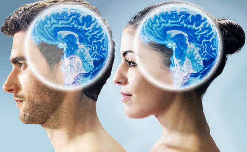 Εγκέφαλος: Γιατί το μυαλό των γυναικών παραμένει κοφτερό για περισσότερα χρόνια