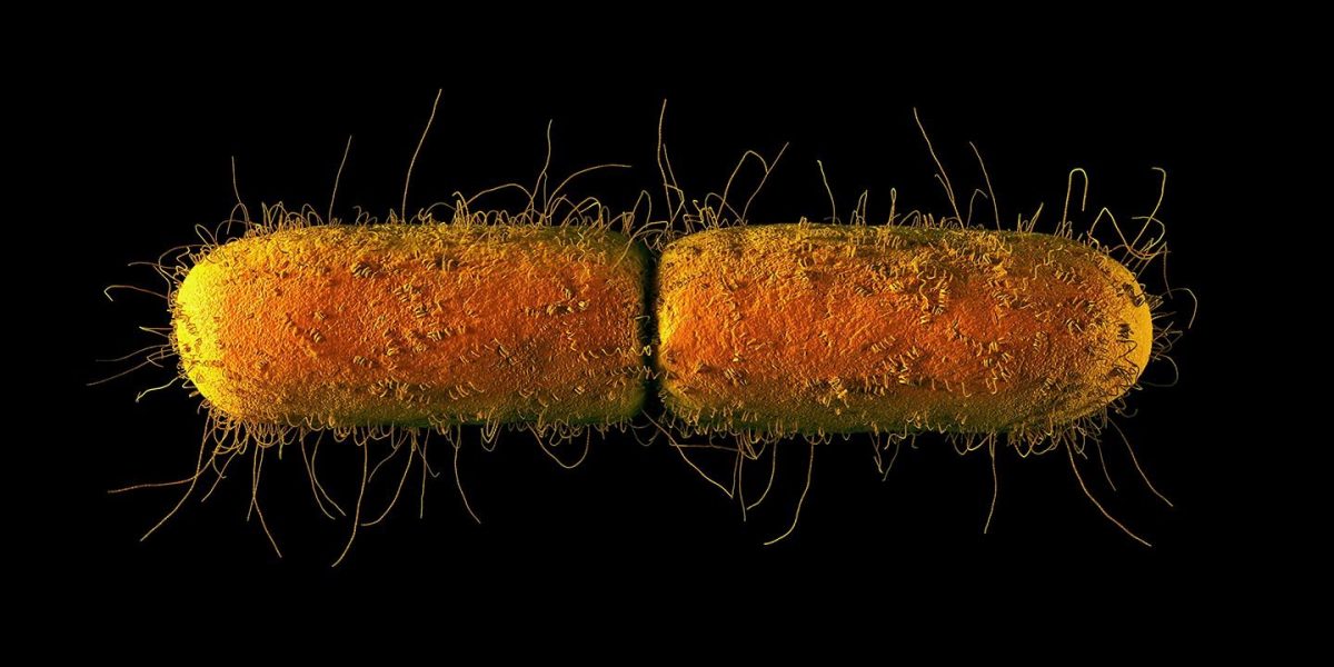 Ανίσχυρα αντιβιοτικά-πανίσχυρα ενδονοσοκομειακά μικρόβια: Η Pfizer επιστρατεύει την τέχνη στον πόλεμο των μικροβίων