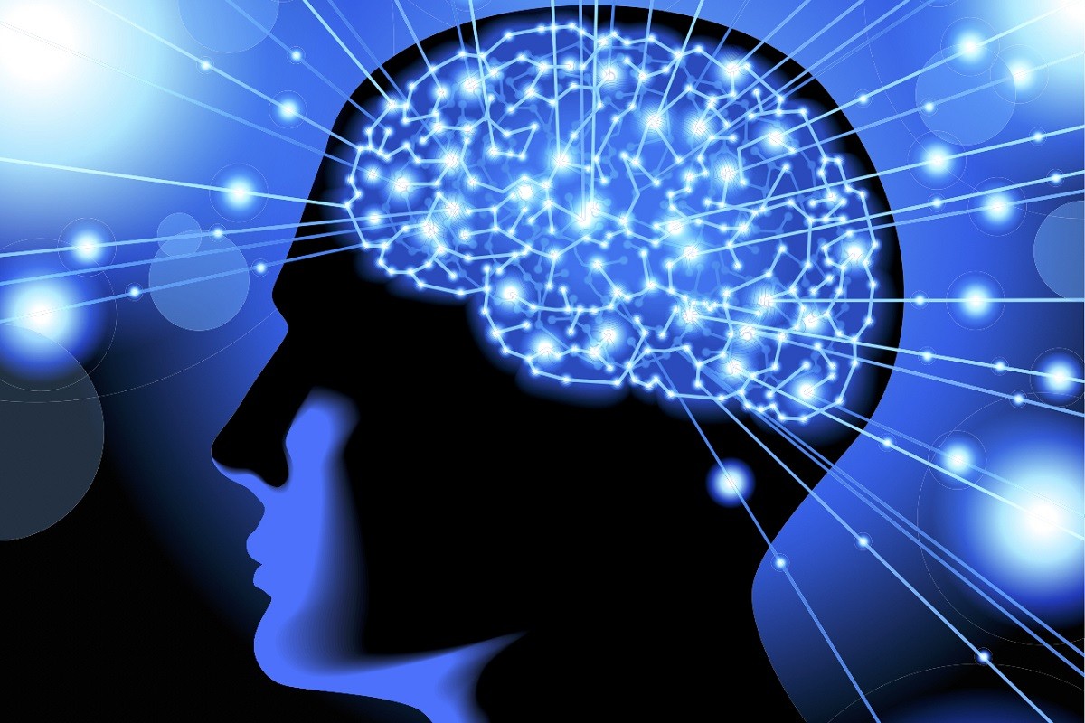 Εγκέφαλος: Μύθος οι διαφορές αριστερού και δεξιού ημισφαιρίου
