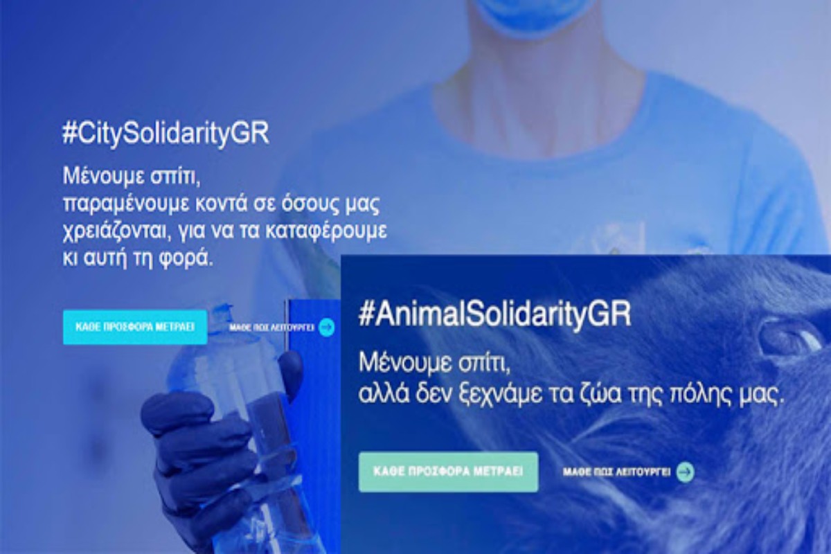 Τι είναι το city-solidarity και animal-solidarity και πώς μπορούν να βοηθήσουν οι πολίτες