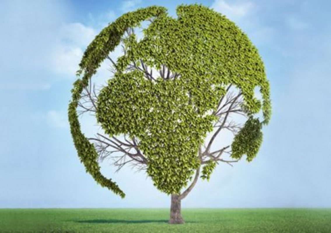 Γκουτέρες για Παγκόσμια Ημέρα Περιβάλλοντος: Είναι η ώρα της φύσης