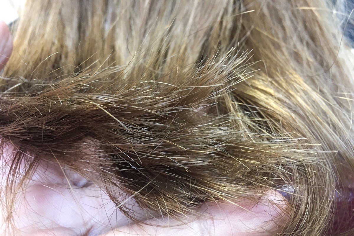 Μαλλιά: Αυτά είναι τα 3 κόλπα για να μην τα κόψετε εξαιτίας της ψαλίδας
