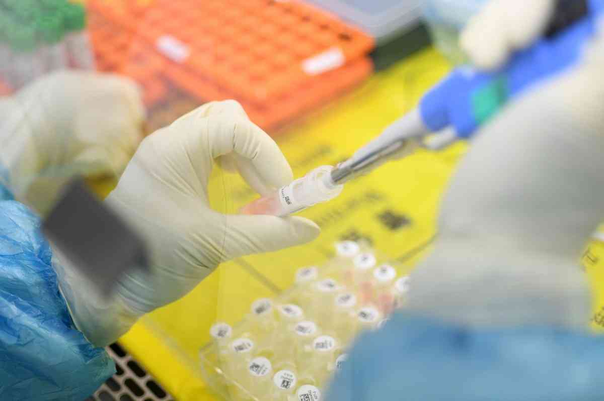 Ήταν η νόσος των χοίρων αφορμή για την πανδημία SARS-CoV-2; – Νέες αποκαλύψεις