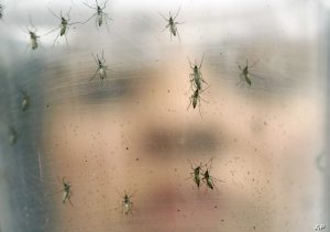 γυναίκα κοιτά τα κουνούπια μέσα από το τζάμι
