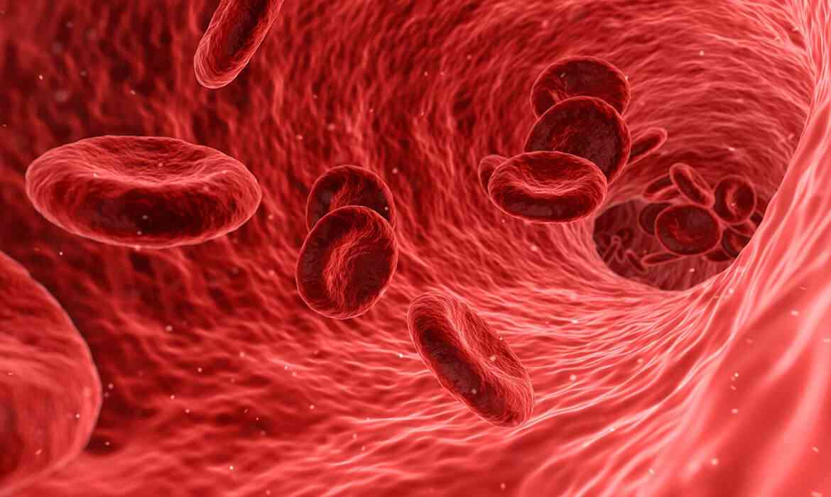 Αίμα: Καλλιεργημένο στο εργαστήριο αίμα μεταγγίζεται σε άνθρωπο