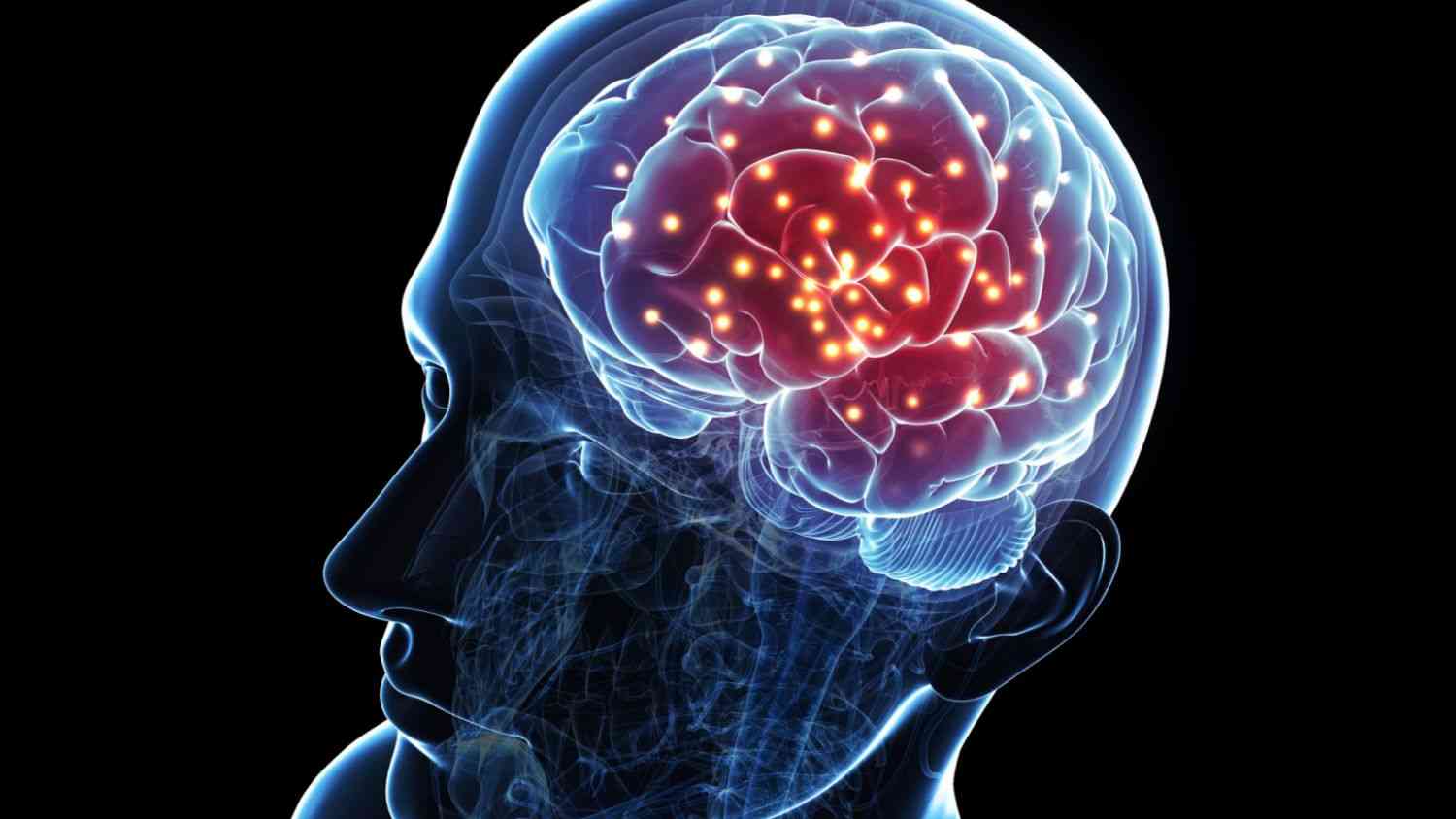 Εγκέφαλος: Πώς αντιδρά μετά την απώλεια ενός ανθρώπου
