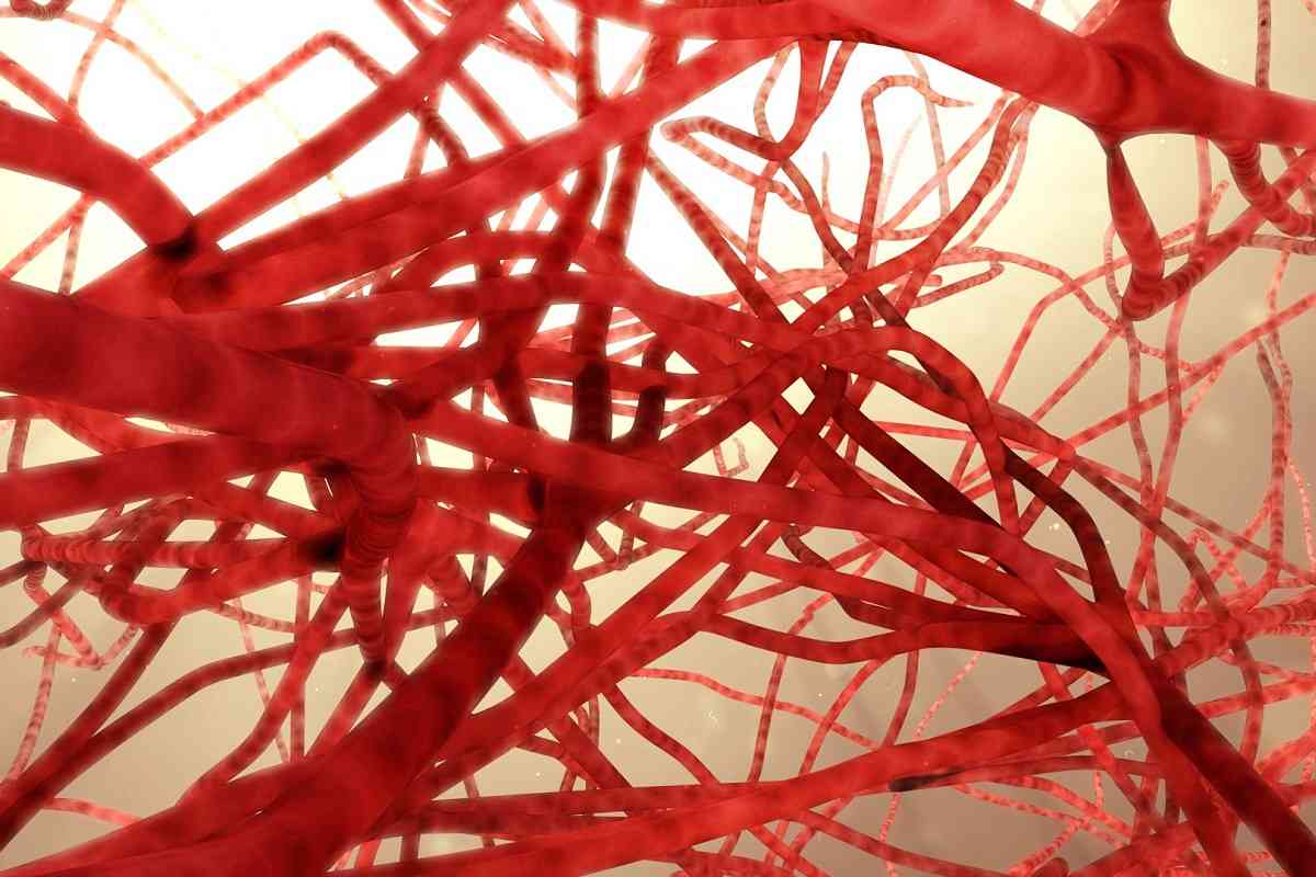 Ερευνητές έφτιαξαν τεχνητά αιμοφόρα αγγεία