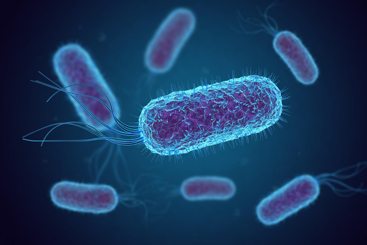 Βακτήρια: Ποια κρύβονται στο σπίτι μας;