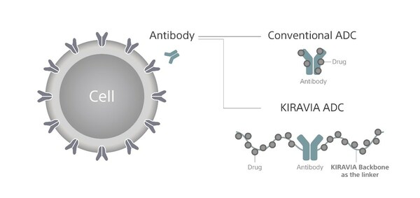 KIRAVIA Backbone.