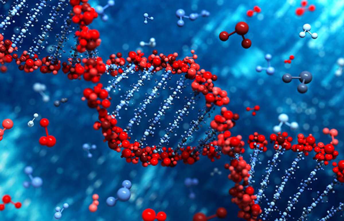 DNA γονίδια κληρονομικότητα