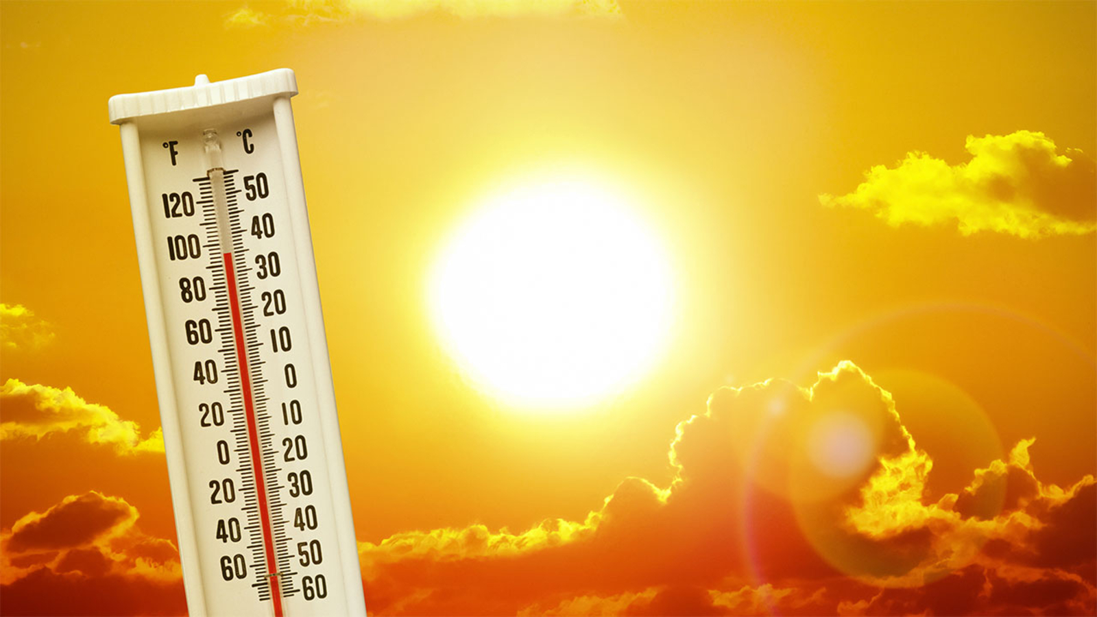 Ζέστη: Πώς θα καταλάβετε ότι κινδυνεύετε από αφυδάτωση