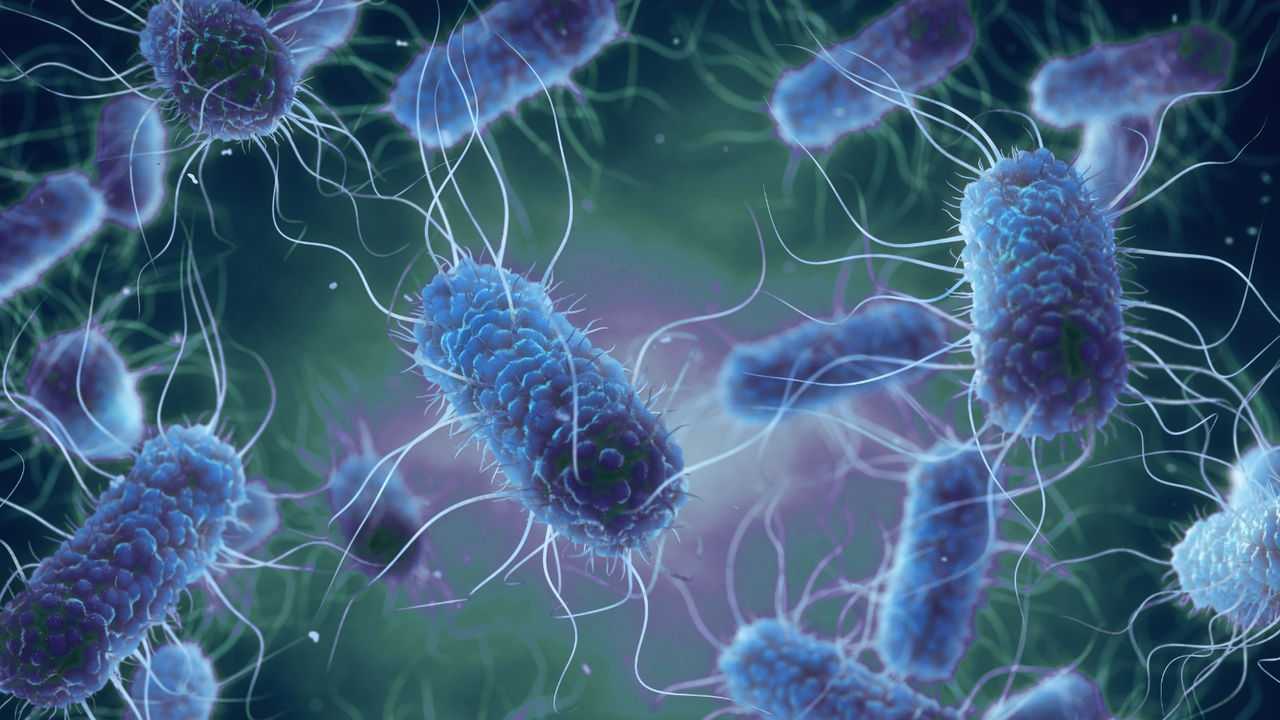 Βακτήρια E. Coli: Πώς γίνονται όπλα κατά καρκίνου, HIV και διαβήτη
